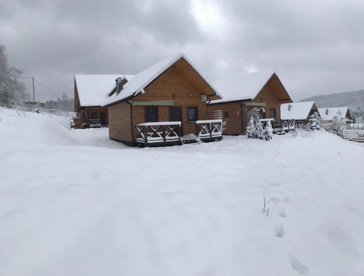 Domki Zlota Rybka Nad Jeziorem Solinskim Zawóz Exterior foto