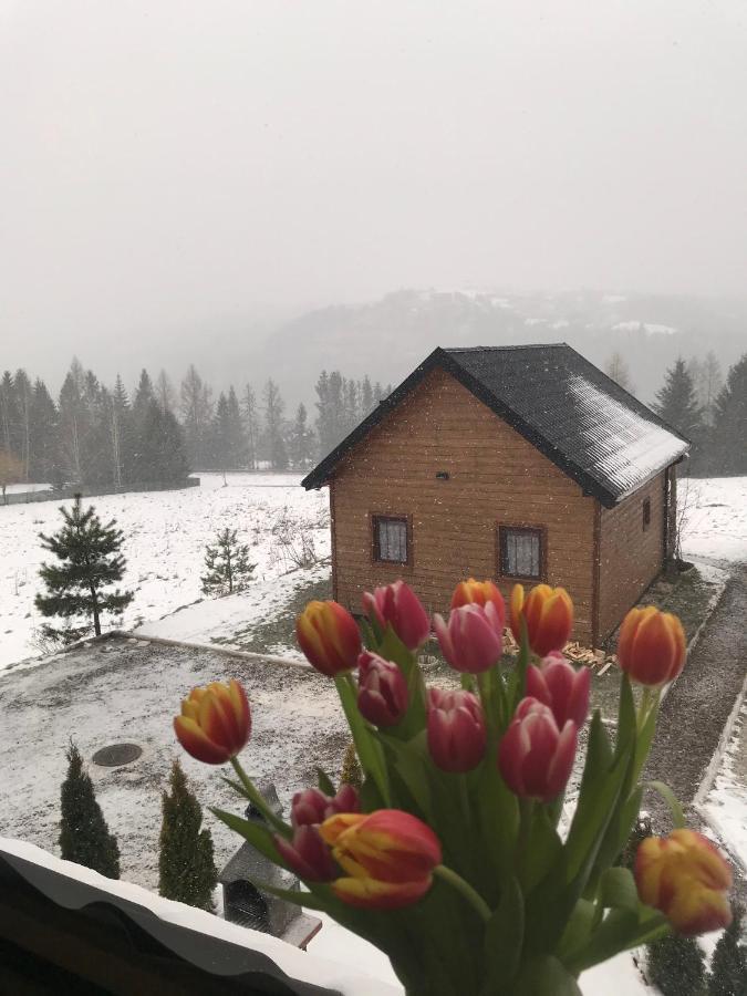 Domki Zlota Rybka Nad Jeziorem Solinskim Zawóz Exterior foto