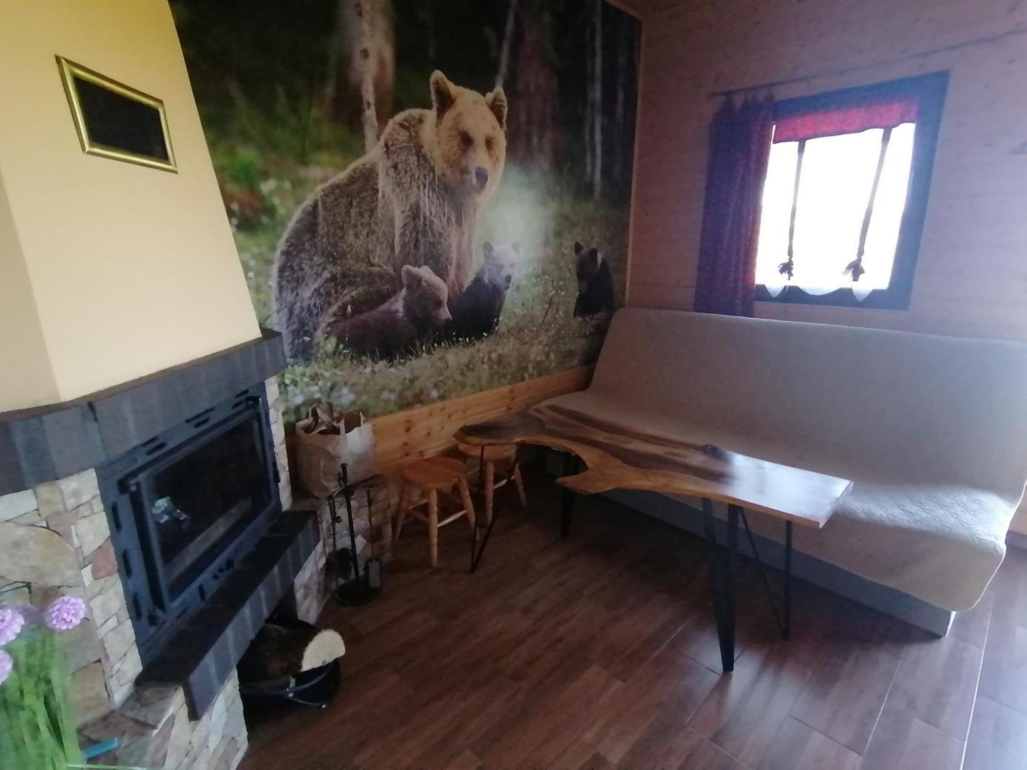 Domki Zlota Rybka Nad Jeziorem Solinskim Zawóz Exterior foto